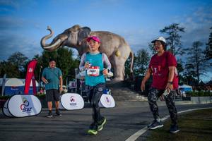 BIB: 
                            <button type="button" onclick="openModal(26541876)" class="btn btn-primary btn-sm float-right btn-popup" data-toggle="modal" data-target=".modal-high-quality">
                        <i class="fas fa-shopping-cart"></i> Add to Cart
                    </button>
                                            <button type="button" onclick="isThisMe(26541876, true)" class="btn btn-success btn-sm float-right btn-popup btn-isme hidden" data-toggle="tooltip" data-placement="bottom" title="นี่คือรูปของคุณใช่ไหม คลิกที่นี่เพื่อเอาเข้าอัลบั้ม">
                        <i class="fas fa-plus"></i> Add to album
                    </button>
                    <button type="button" onclick="isThisMe(26541876, false)" class="btn btn-warning btn-sm float-right btn-popup btn-isnotme hidden">
                        <i class="fas fa-ban"></i> Remove from album
                    </button>